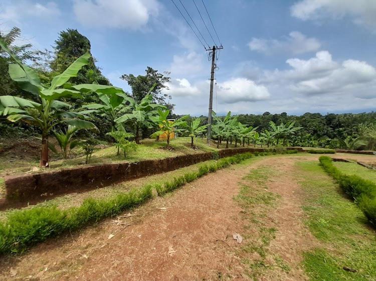 Nisarga Homestay, Dharmasthala Dharmastala Kültér fotó